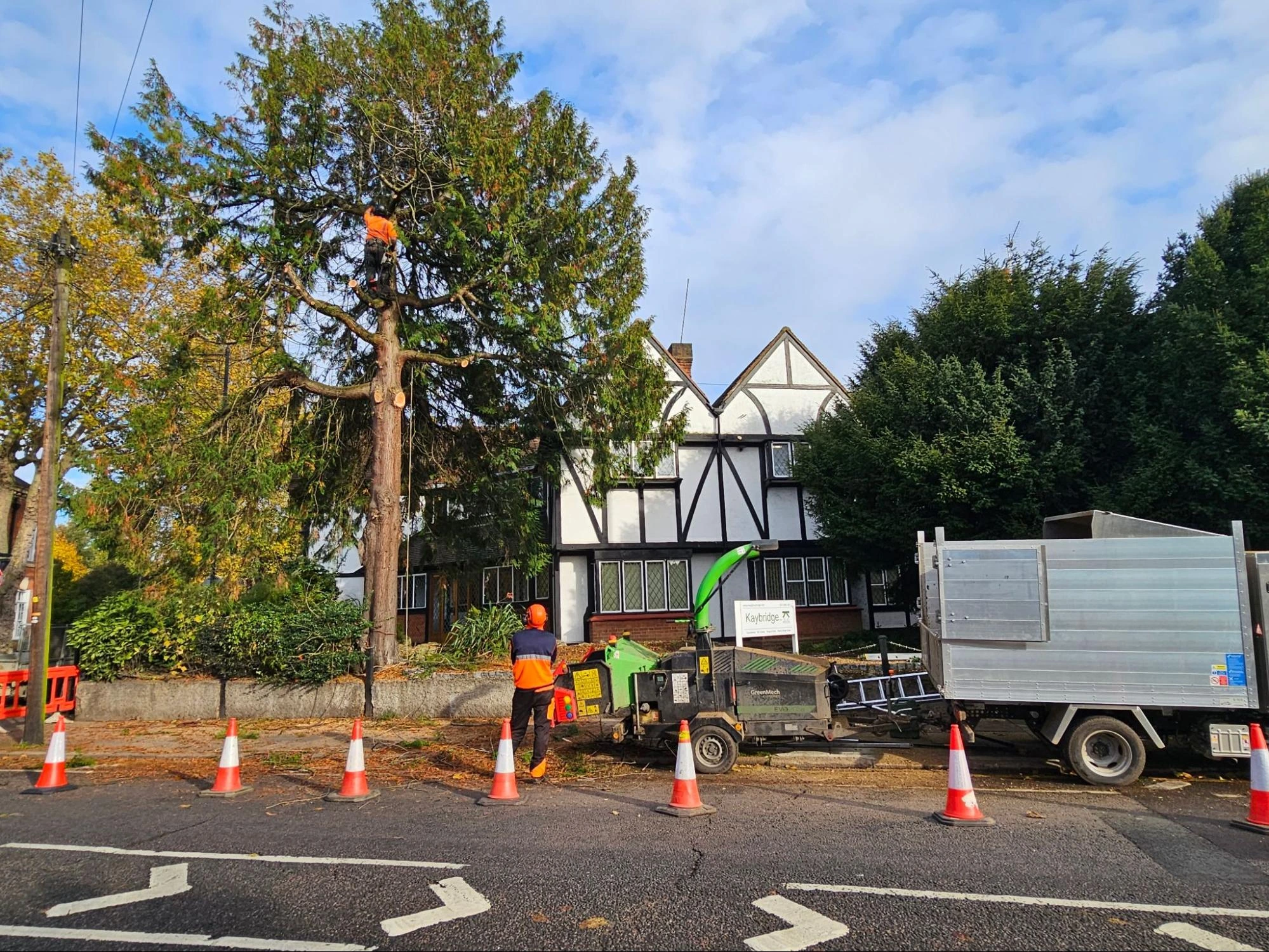 Tree Cutting Archway